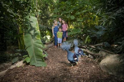 Tropenhalle im Regenwaldhaus Tierpark Berlin