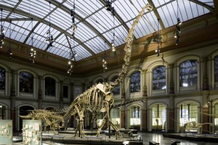 Museum für Naturkunde Sauriersaal